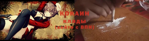 apvp Алзамай
