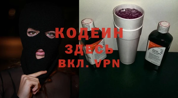 гидра Абаза
