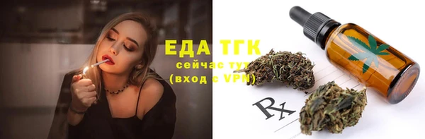 гидра Абаза