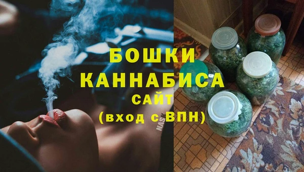 гидра Абаза