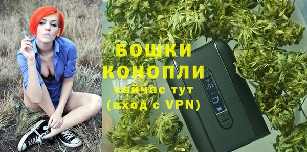 гидра Абаза