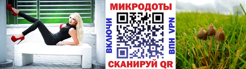 hydra ссылки  купить наркоту  Юхнов  Галлюциногенные грибы Magic Shrooms 